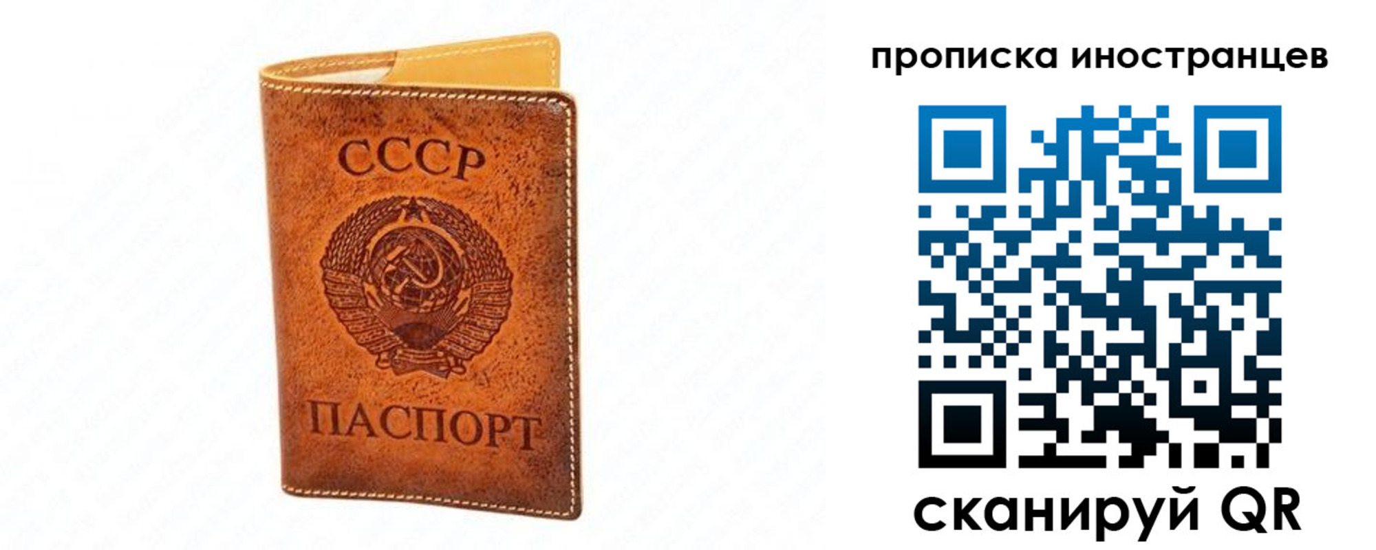 прописка для школы в Тверской области